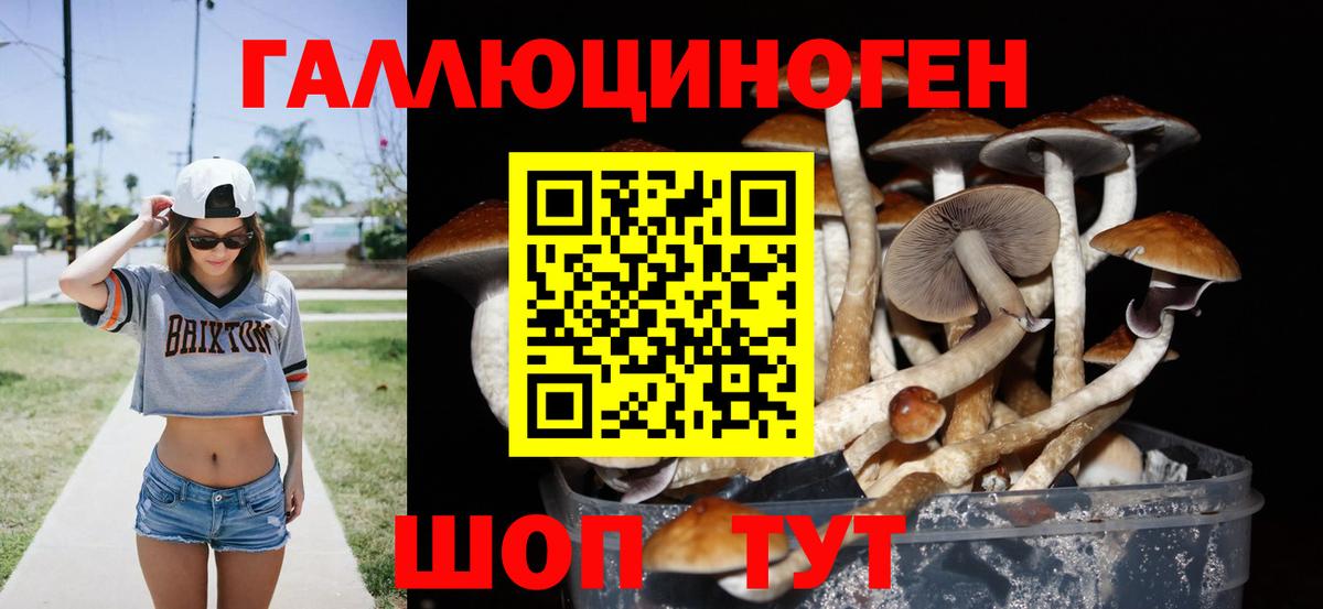 Изобильный  Псилоцибиновые грибы Magic Shrooms  Вход с VPN 